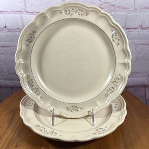 Vintage Pfaltzgraff Remembrance Dinner Plates - Set of 2
